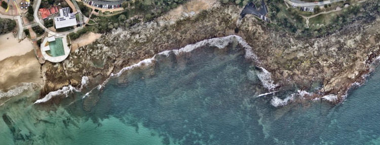 Budget snorkelling in SE QLD: It was right there all along... Discovering Caloundra’s boat ramp reef