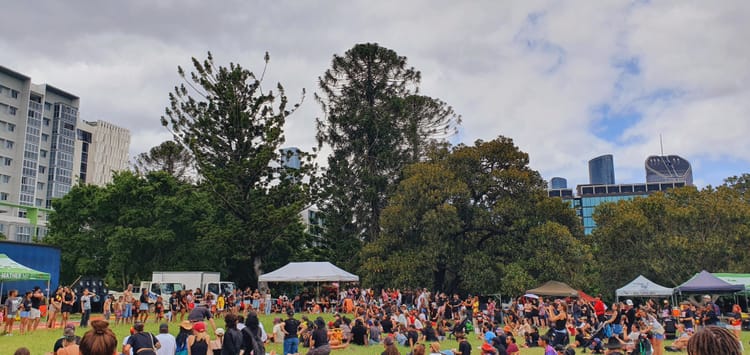 Why is Brisbane City Council intentionally preventing bunya pines from producing nuts?